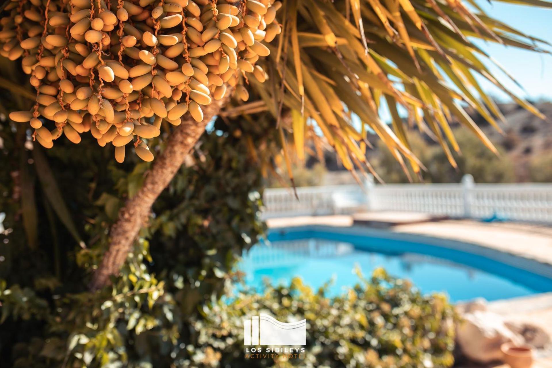 Henares Hotel Los Sibileys מראה חיצוני תמונה